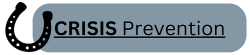 Horseshoe in grey box: Crisis prevention